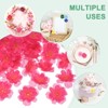 Unique Bargains Silk Artificial Cherry Blossom Flower Heads Wedding DIY Crafts 150 Pcs - 4 of 4