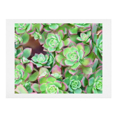 Lisa Argyropoulos Succulents Color Art Print 11" x 14" - Deny Designs