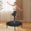 Mini Steel Trampoline, Indoor Fitness Exercise, Maximum Load Capacity 330 Pounds, for Adults or Kids - 4 of 4