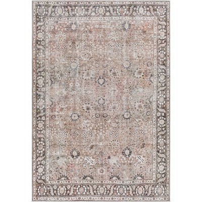Colin Traditional Machine Washable Rug - Artistic Weavers