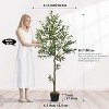 6ft Tall Faux Olive Tree with Natural Wood Trunk and Lifelike Fruits Artificial Olive Plant with Black Pot and Moss for Home Office Decor - 2 of 4