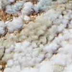 cream, charcoal, mustard, lightgray, mediumbrown, lightbrown