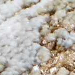 cream, charcoal, mustard, lightgray, mediumbrown, lightbrown