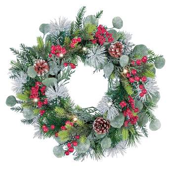 Collections Etc Led Lighted Frosted Pine And Cardinals Hanging Wreath ...