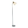 Simple Designs 55.91" Industrial Farmhouse Fusion Adjustable Cage Wire Accent Floor Lamp - 2 of 4