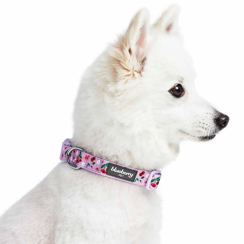 Blueberry Pet Cherry Garden Dog Collar with Dainty Flowers, 5 of 6