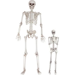 Life Size Human Skeleton Halloween Decoration Value 2 Pack- Adult 5' 4" & Child 2' - Articulated Movable Limbs, Weather Resistant Indoor/Outdoor - 1 of 4