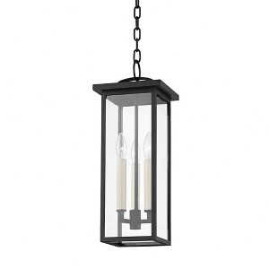 Troy Lighting Eden 3 - Light Pendant in  Black Clear Shade - 1 of 1