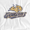 Men's Webster University Official Distressed Primary Logo T-Shirt - 2 of 4