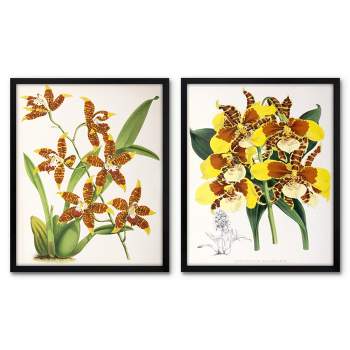 Americanflat 2 Piece 16x20 Wrapped Canvas Set - Fitch Orchid by New York Botanical Garden - botanical  Wall Art