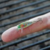 Rapala Jointed Shad Rap 04 Fishing Lure - 2 of 4