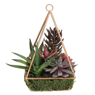 Northlight 9" Succulent Artificial Arrangement in Copper Wire Terrarium - Green/Brown