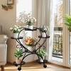 Artloge 6 Tier Heart-shaped Heavy Duty Metal Plant Stand Flower Pots Display Holder Rolling Planter Rack with Wheels for Garden Patio Balcony Decor - 2 of 4