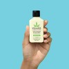 Hempz Herbal Body Lotion - Hydrating Sweet Pineapple and Honey Melon - 2 of 3