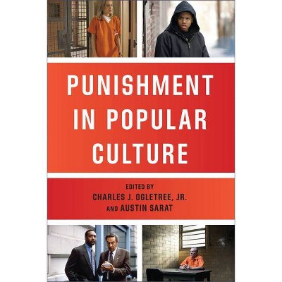 Punishment in Popular Culture - (The Charles Hamilton Houston Institute Race and Justice) by  Austin Sarat (Paperback)