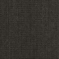 anthracite/black