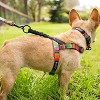 Leashboss No Pull Dog Harness for Walking, with Bungee Handle, Rear and Front Clip Attachment, Orange Blanket, Small - image 4 of 4