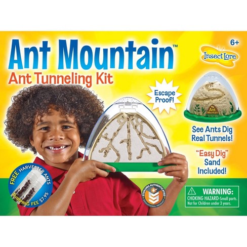 INSECT LORE ANT MOUNTAIN 
