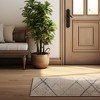 Rug Branch Contemporary Abstract Indoor Rug - 3 of 4
