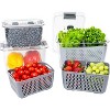 Kitchen Spaces Colander Bin, Produce Saver, Fridge Organizer With Lid, Wash, Strain and Store - 3 of 4