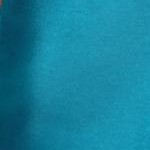 deep teal embroidery