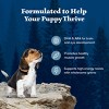 Blue Buffalo Wilderness High Protein Natural Puppy Dry Dog Food plus Wholesome Grains with Chicken - 4.5lbs - 4 of 4