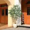 DR.Planzen 8ft Artificial Ficus Tree with 18in White Planter, Tall Faux Ficus Tree with thick leaves for Indoor outdoor Home Decor - 3 of 4