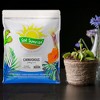 Soil Sunrise Carnivorous Plant Potting Soil Mix for Venus Fly Trap, Pitcher Plants - 2 of 4