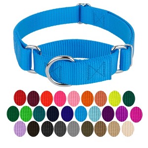 Country Brook Petz Martingale Heavyduty Training Collar with No Buckle - Service Collar for All Dogs - Vibrant, Colorful Collection - 1 of 4