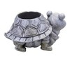 Home & Garden 3.25" Mini Turtle Pudgy Planter Garden Patio Sunroom Roman, Inc  -  Planters - 2 of 3