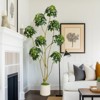 Artificial Umbrella Schefflera Tree in Decorative White Planter, 5/6/7 ft Tall Faux Floor Plant with Multiple Trunks, Lifelike Fake Tree for Indoor - 3 of 4