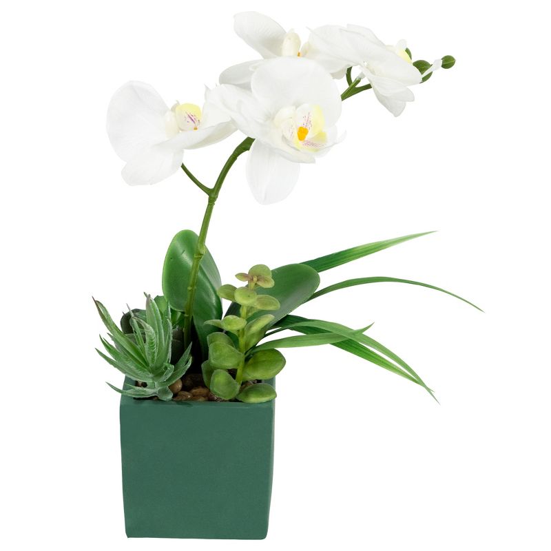 Northlight 12" Orchid and Succulents Artificial Potted Flower Arrangement - Green/White, 3 of 9