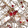 Northlight Lighted Glittered Rattan Berry Star Christmas Window Decoration - 18" - Clear Lights - 4 of 4
