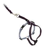 PetSafe Come with Me Kitty and Bungee Adjustable Leash Cat Harness - Blue
