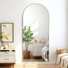 PexFix Arch Solid Wood Full Length Mirror Floor Mirror - 3 of 4