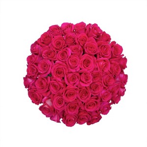 Fresh Cut Roses - 50 Stems - 1 of 4