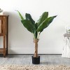 Artificial Tree - Faux 40" Potted Banana Leaf Tree - FXP2009 - Green - Safavieh - 2 of 4