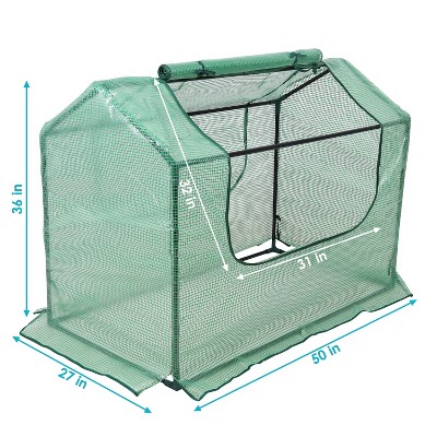 Sunnydaze Green 4' x 2' Iron and PVC Mini Greenhouse