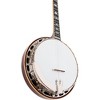 Recording King Carl Jackson Signature Lonesome Dove Resonator Banjo Tobacco Sunburst - 3 of 4
