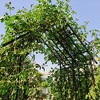 Dolonm Metal Garden Arch with Gate Climbing Plants Support Rose Arch Outdoor Black - 4 of 4
