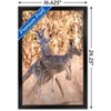Trends International The Comedy Wildlife Photography Awards: Lara Mathews - Boing Framed Wall Poster Prints - 3 of 4