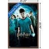Trends International Harry Potter and the Order of Phoenix (French) Framed Wall Poster Prints - 3 of 4