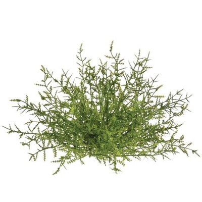 Sullivans Feather Fern 1/2 Orb Decorative Filler 5"H Green