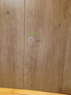 Guest review image 6 of 6, zoom in