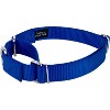 Country Brook Design Martingale Heavyduty Nylon Dog Collar and Double Handle Leash - 2 of 4