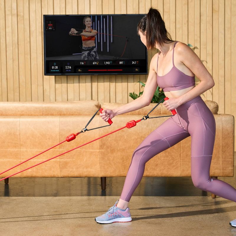 LIT Method Axis Home Gym Resistance Band Training System, 5 of 10