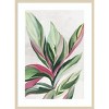 Amanti Art Leaves of Pink II by Asia Jensen Wood Framed Wall Art Print - 4 of 4