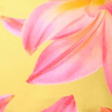 Yellow Floral Print