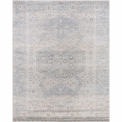 Hauteloom Nydia Blue Medallion Area Rug