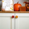 Knobēz: Decorative Knob Cover, Fall Leaf, 12pk, Stretch Over Hardware Decoration - 4 of 4